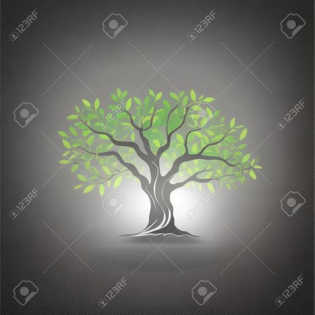 美麗壯觀的橄欖樹剪影灰色背景。資料圖現代矢量標誌。優質的插畫設計理念。