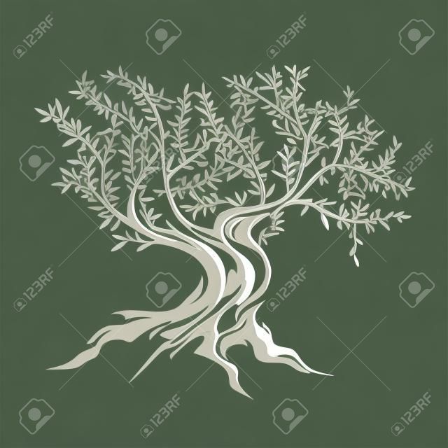 Ikona sylweta drzewa oliwnego samodzielnie na białym tle.