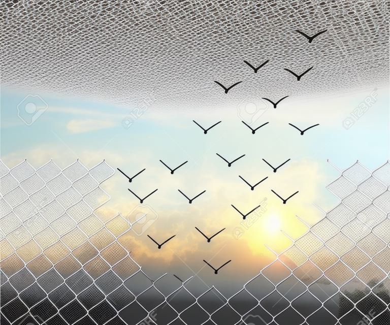Metallic wire mesh transform into flying birds over the sky