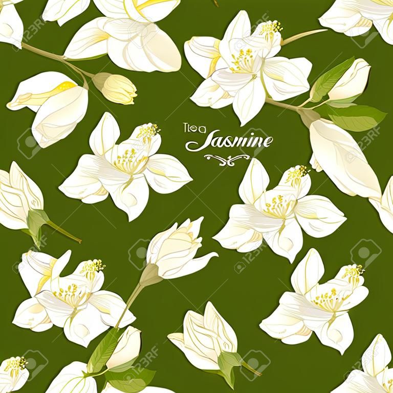 seamless pattern with jasmine flowers. Design for tea, aromatherapy, herbal cosmetics, essential oils, health care products, perfume. Can be used as wedding background. Best for wrapping paper.