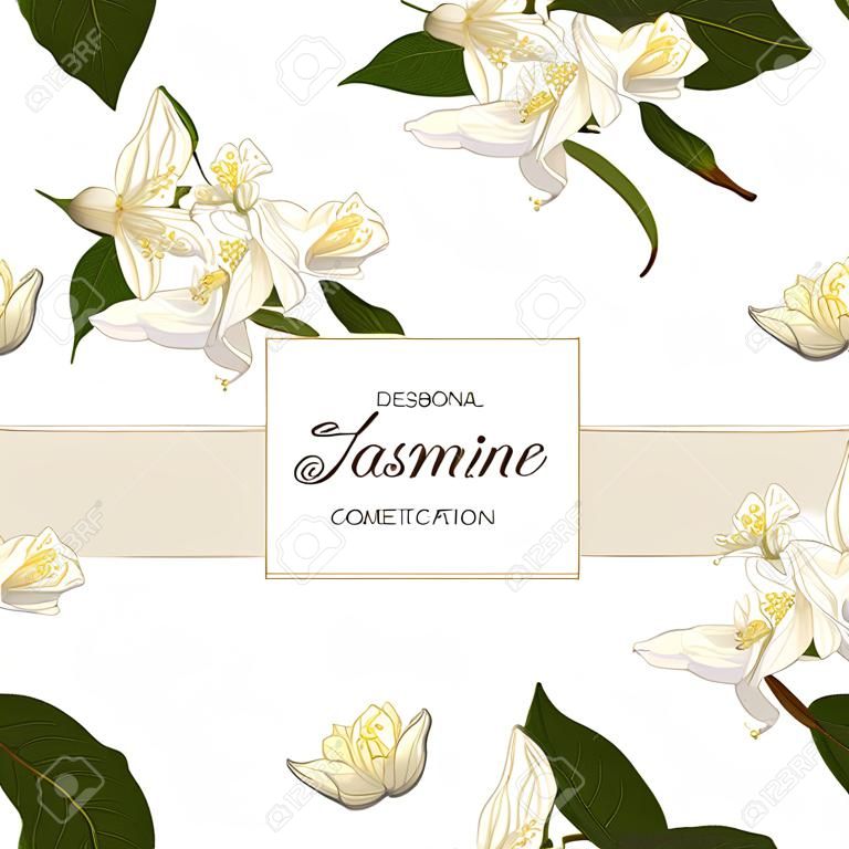 seamless pattern with jasmine flowers. Design for tea, aromatherapy, herbal cosmetics, essential oils, health care products, perfume. Can be used as wedding background. Best for wrapping paper.