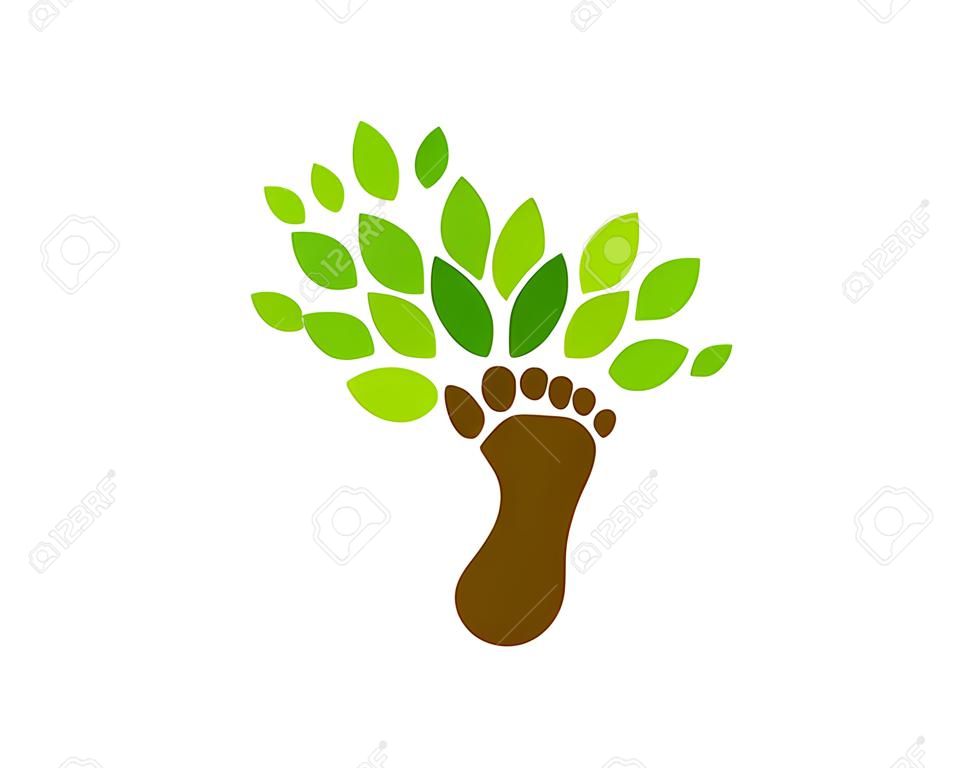 Foot Tree Logo Icon Design