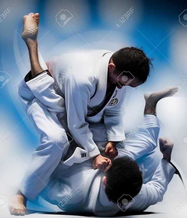 Brazilian jiu-jitsu fight
