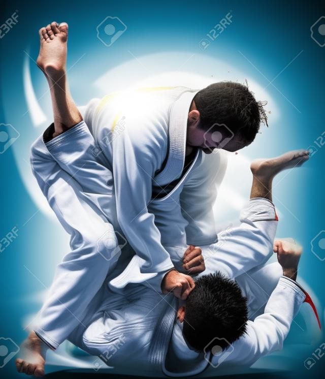 Brazilian jiu-jitsu fight