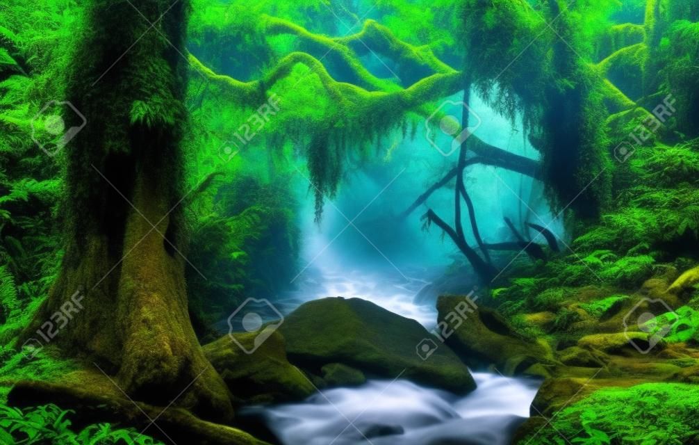 Nepal Dschungel mit Fluss