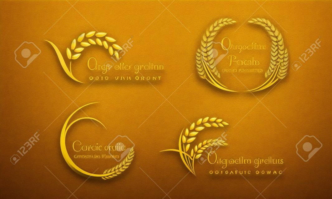 Conjunto de trigo paddy, produtos de grãos orgânicos de arroz banner de alimentos logotipo