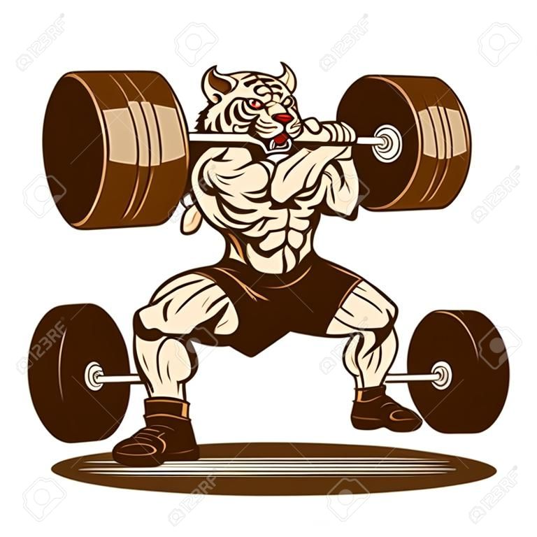 Tiger Weightlifting Gym Sport Hand Drawn Vector Illustration