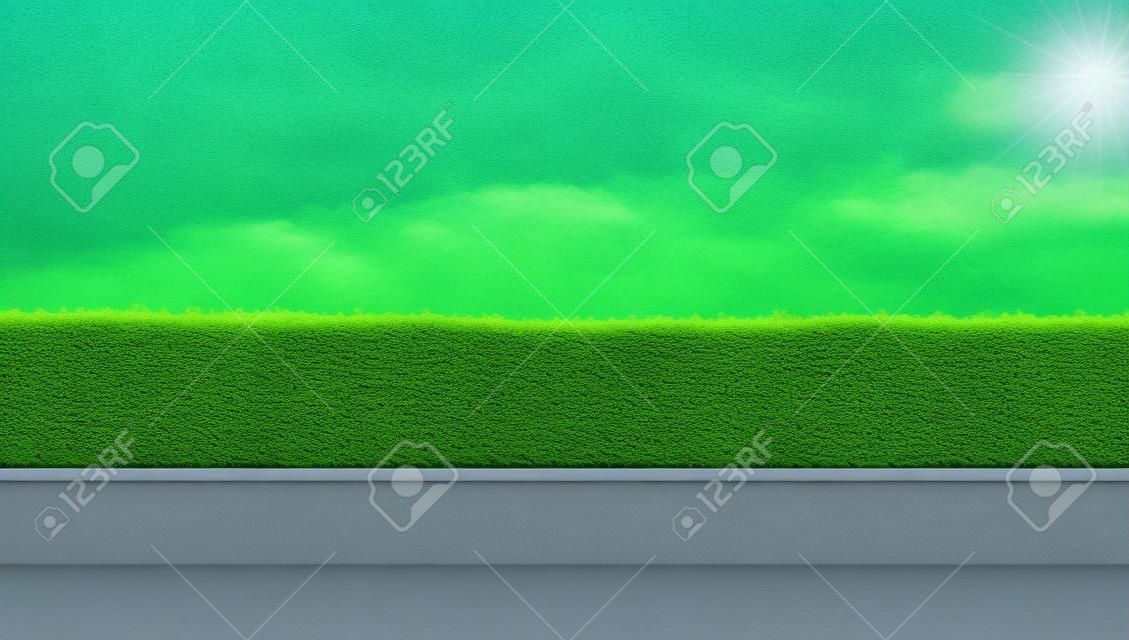 Green hedge with the blue sky