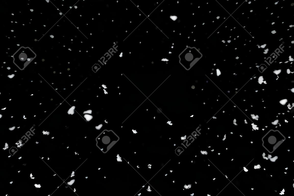 Winter background. caduta di neve isolato su sfondo nero
