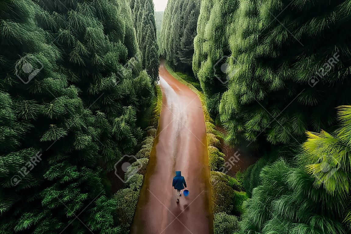 High angle view of a lonely man, walking throght the forest, on a rainy day with copy space