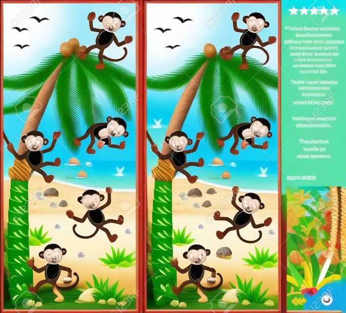 Visual puzzel: Vind de tien verschillen tussen de twee foto's - speelse apen, strand, kokospalm. Antwoord inbegrepen.