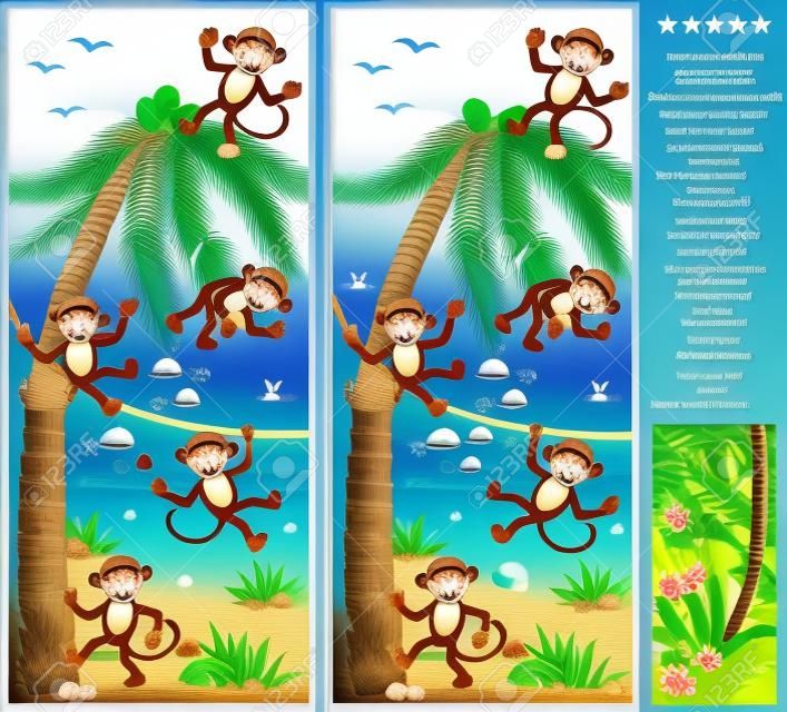Visual puzzel: Vind de tien verschillen tussen de twee foto's - speelse apen, strand, kokospalm. Antwoord inbegrepen.