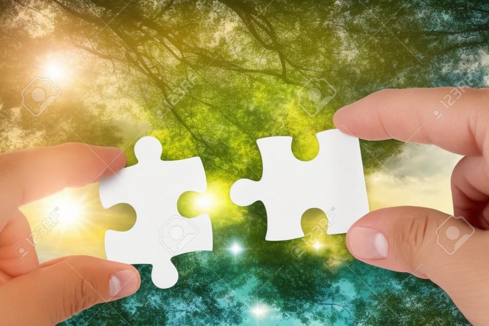 twee handen persoon proberen te koppelen paar Jigsaw papier wit puzzelstukje met boom verse achtergrond. een deel van heel. symbool van associatie en verbinding. succes en zakelijke oplossing strategie.