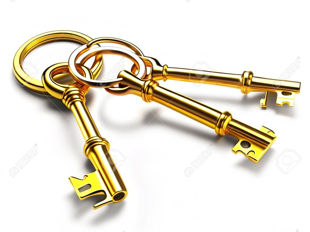 Set of golden keys on the ring isolated on white background