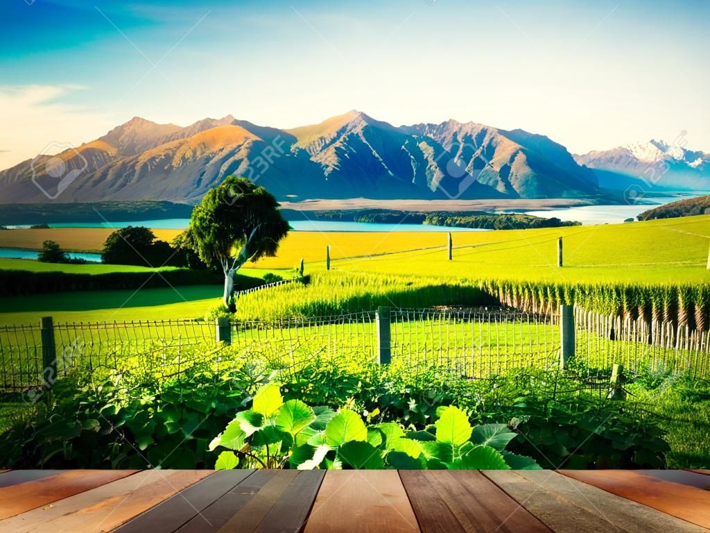 ニュージーランドのコンセプトで美しい自然の田園地帯