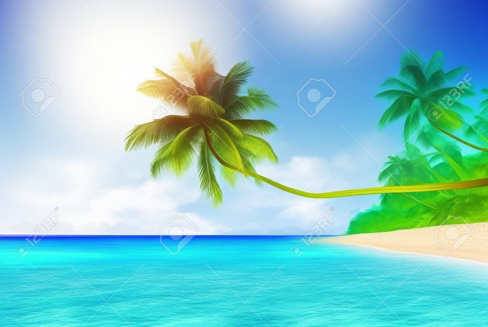 Summer Beach Tropical Paradise Seascape Concept