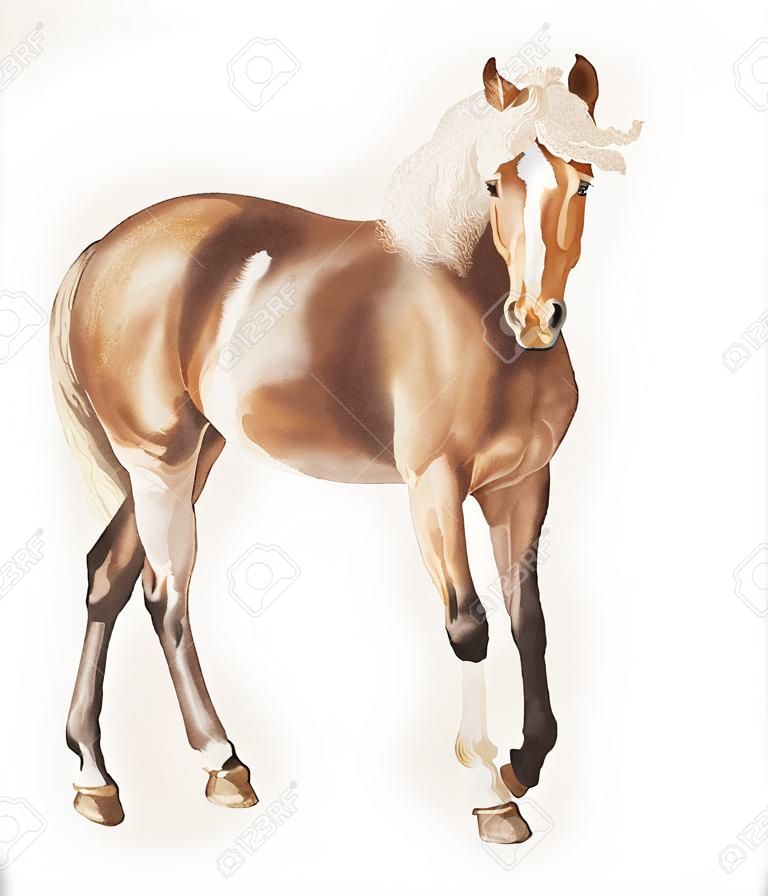 Ilustración de caballo vintage en vector