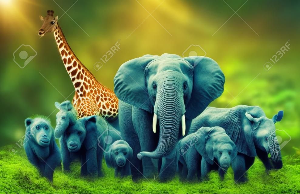 Groep wilde dieren in de jungle samen