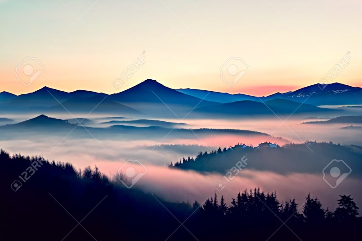 Misty daybreak in a beautiful hills. Peaks of hills are sticking out from foggy background, the fog is shinning . The fog is swinging between trees.