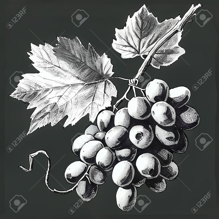 Illustration with grapes and leaves on a dark background