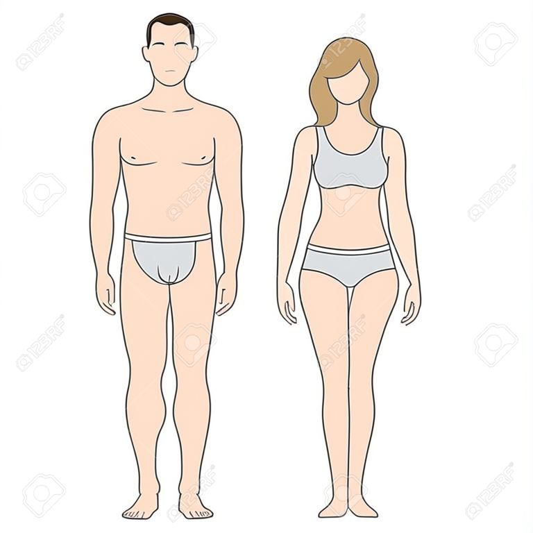 Figures d'homme et femme. Le modèle pour votre conception