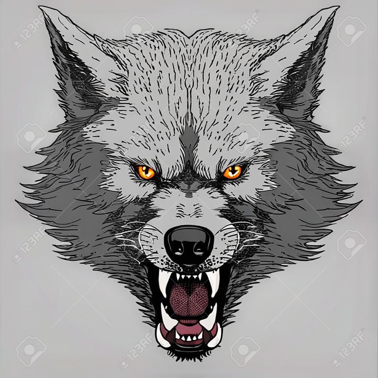 Cabeza de lobo rugiente enojado, colorida ilustración sobre fondo gris