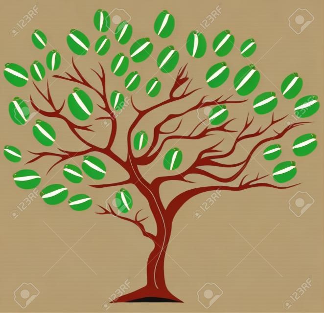 векторные иллюстрации кофейного дерева с фасолью
