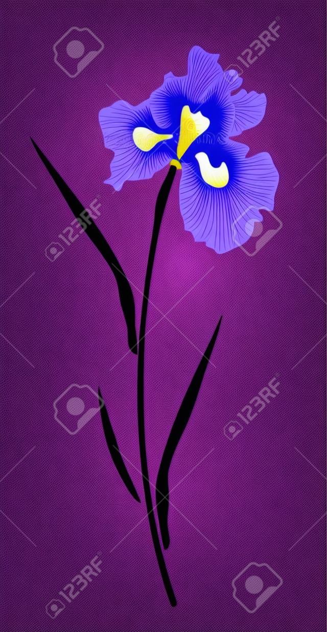 illustration vectorielle d'une fleur d'iris silhouette