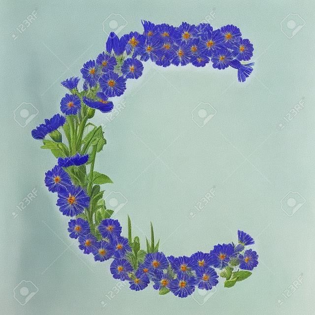 Lettera C, raccolti dai fiori di Fiordaliso