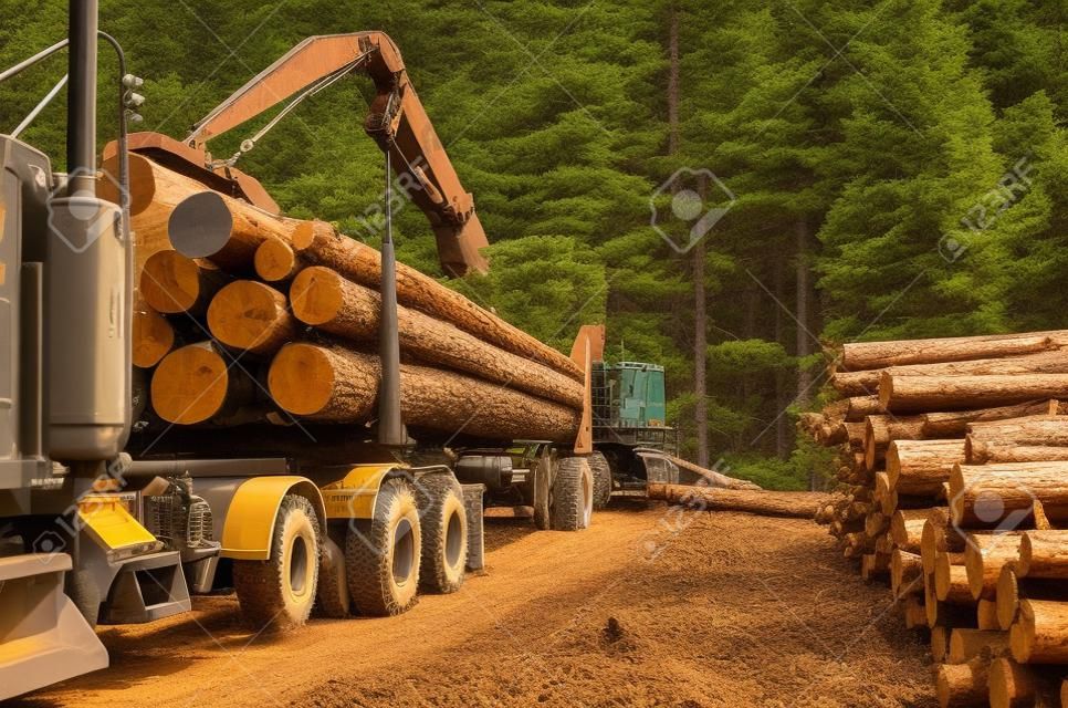Uma carregadeira de troncos ou máquina florestal carrega um caminhão de troncos no local de pouso no sul do Oregon