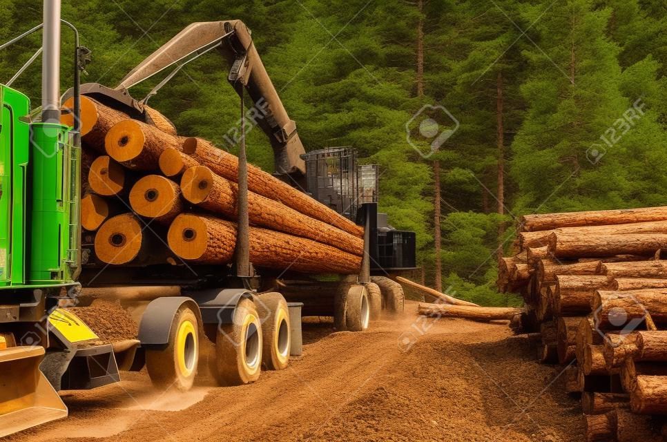 Uma carregadeira de troncos ou máquina florestal carrega um caminhão de troncos no local de pouso no sul do Oregon