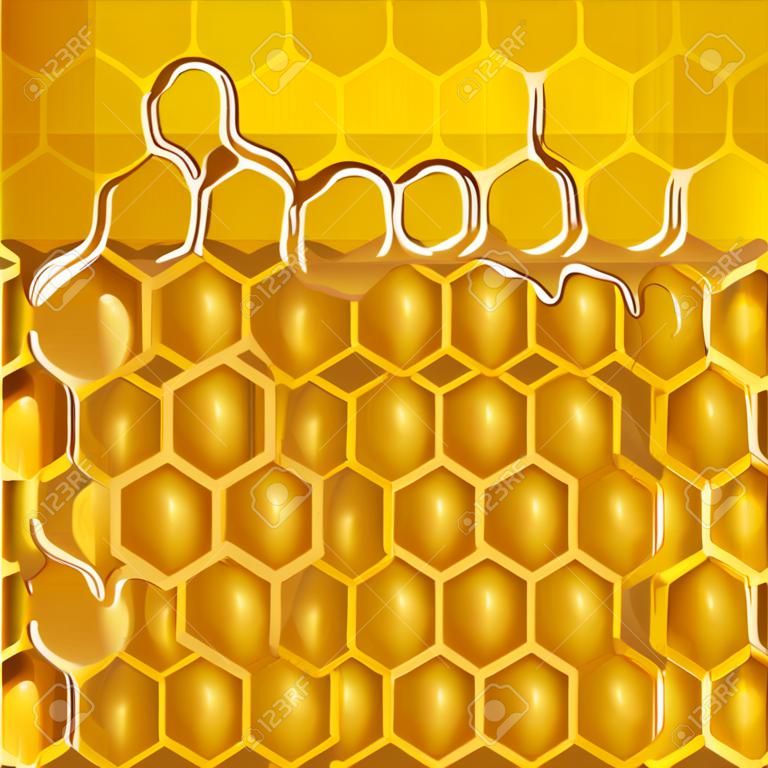 Honeycomb with honey. Vector background.