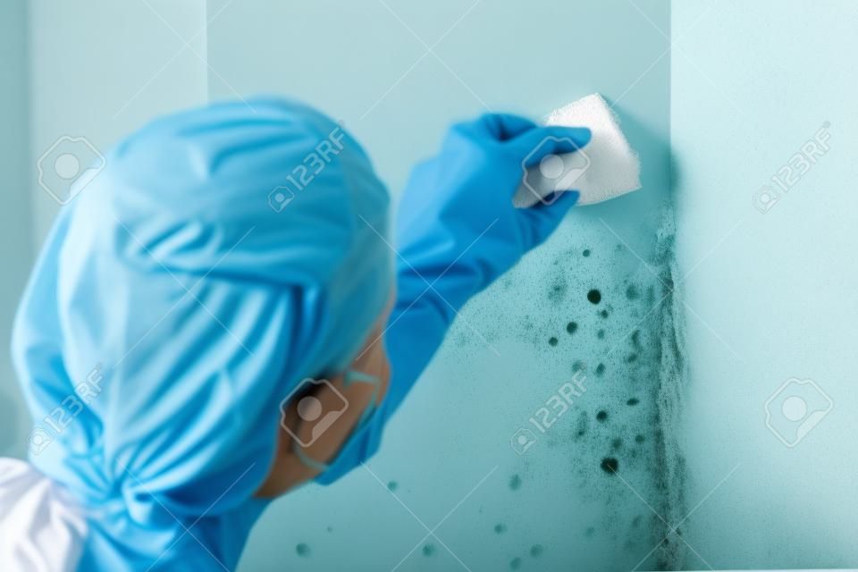 A Woman removes mold from a wall