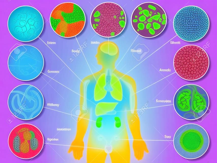 Ludzkie komórki ciała