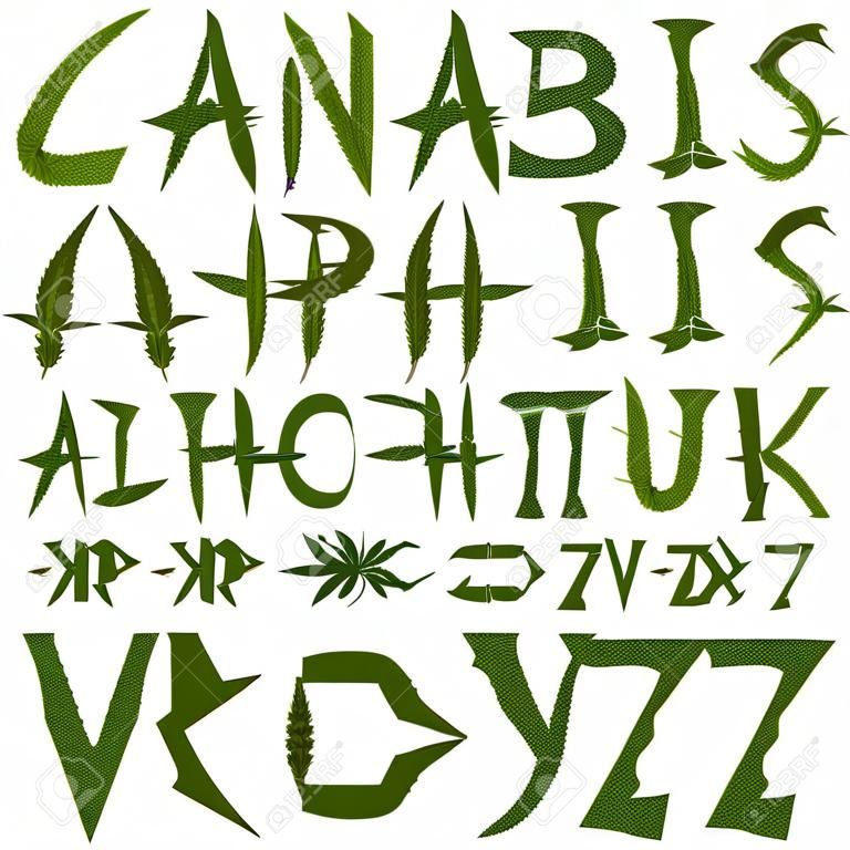 cannabis leafs alphabet against white background, abstract  art illustration