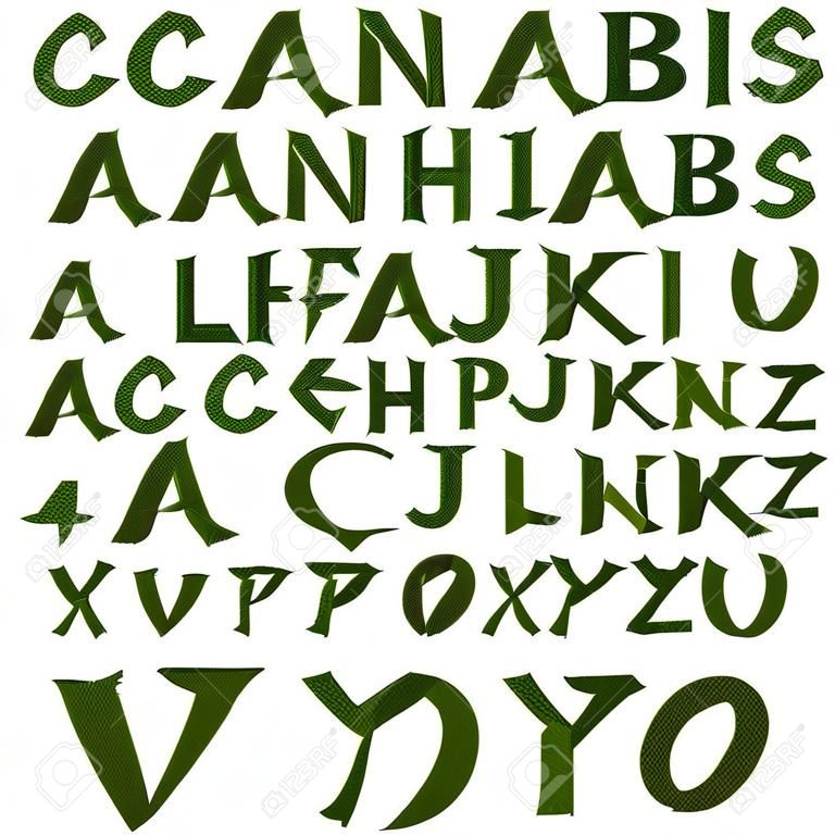 大麻楓葉字母表反對白色背景，抽象派例證