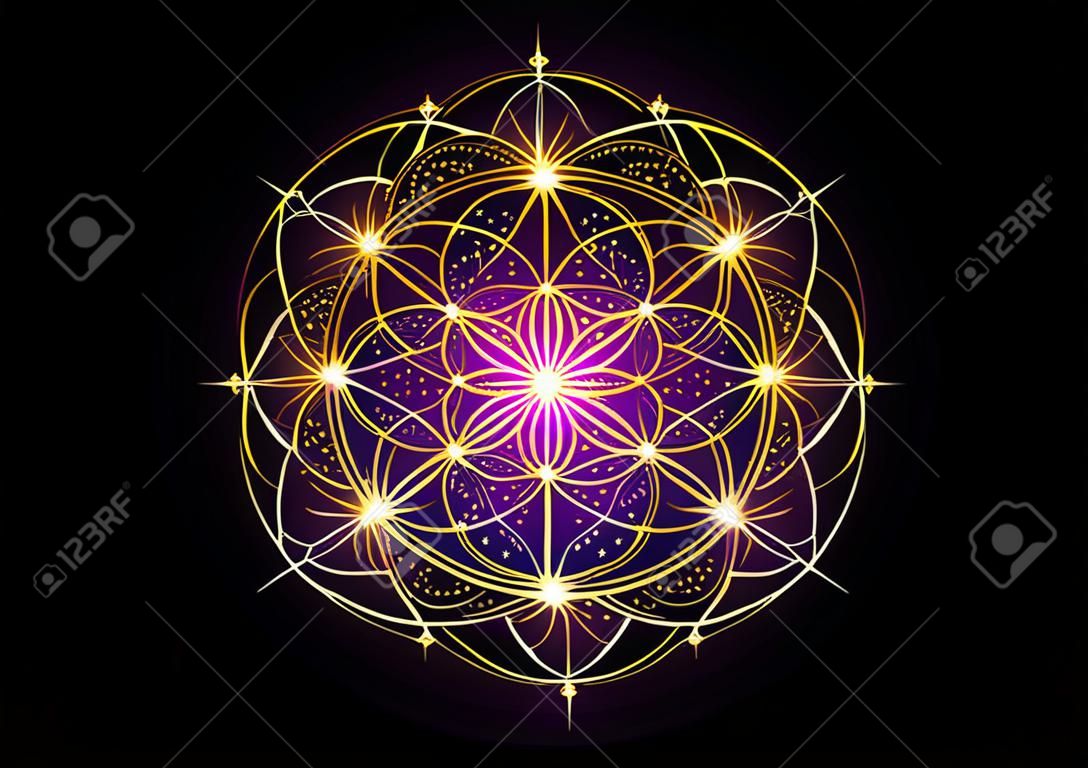 Semente de símbolo de vida Geometria Sagrada. Mandala mística geométrica de alquimia esotérica Flor da Vida. Design de luxo de ouro, amuleto meditativo divino vetorial isolado no fundo preto