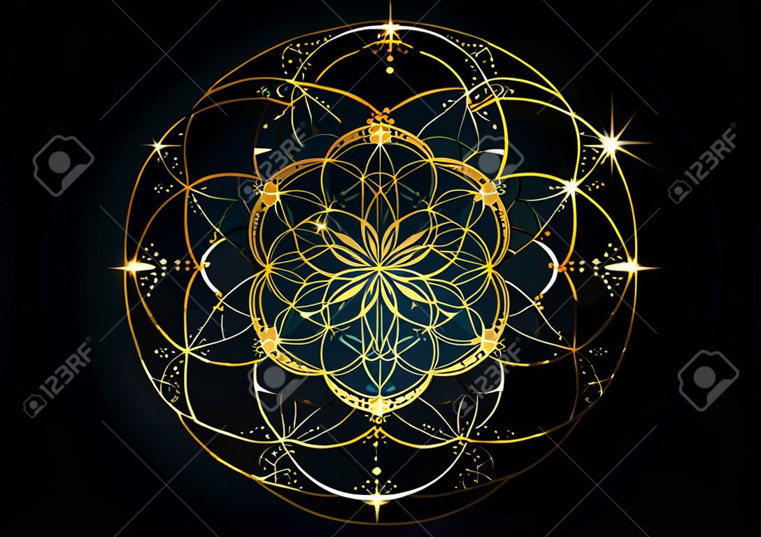 Ziarno symbolu życia Świętej geometrii. Geometryczna mistyczna mandala alchemii ezoterycznego Kwiatu Życia. Złoty luksusowy design, wektor boski medytacyjny amulet na białym tle na czarnym tle