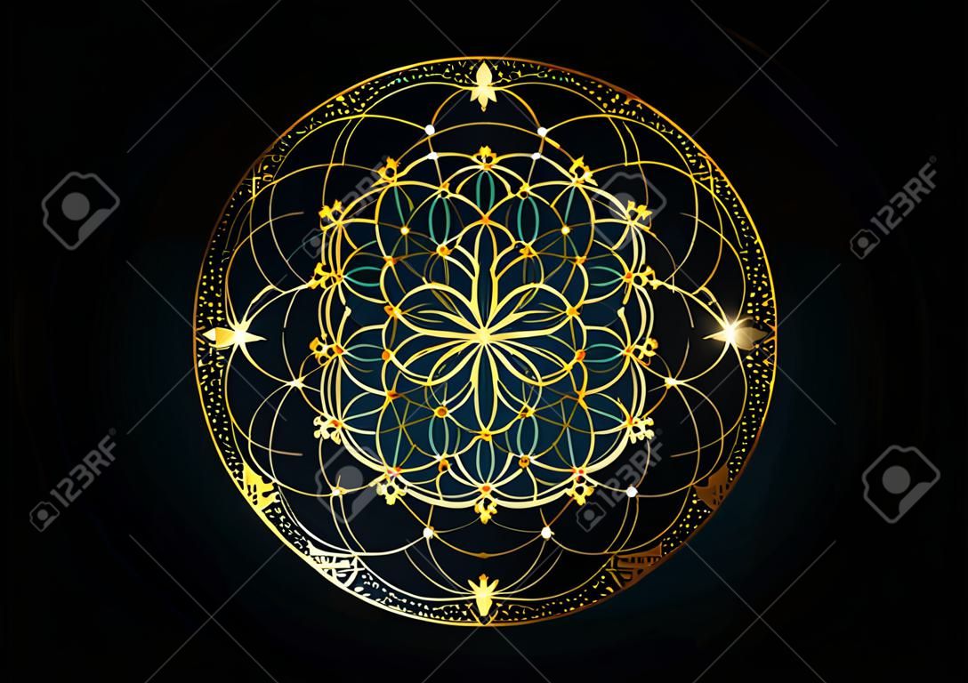 Simbolo del seme della vita Geometria Sacra. Mandala mistico geometrico dell'alchimia esoterica Fiore della vita. Design di lusso in oro, amuleto meditativo divino vettoriale isolato su sfondo nero