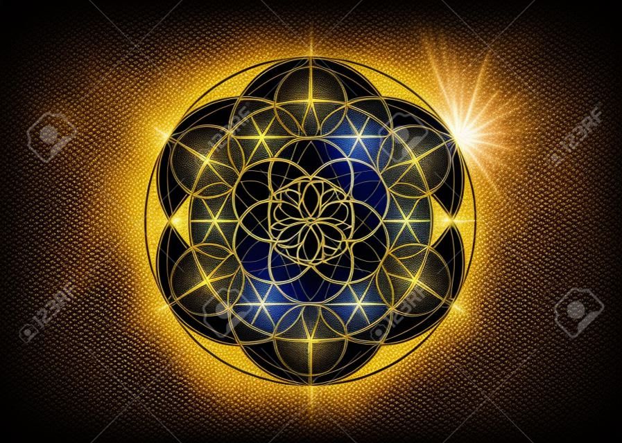 Ziarno życia symbol świętej geometrii. geometryczna mistyczna mandala alchemii ezoteryczny kwiat życia. złoty luksusowy design, wektor boski medytacyjny amulet na ciemnoniebieskim tle
