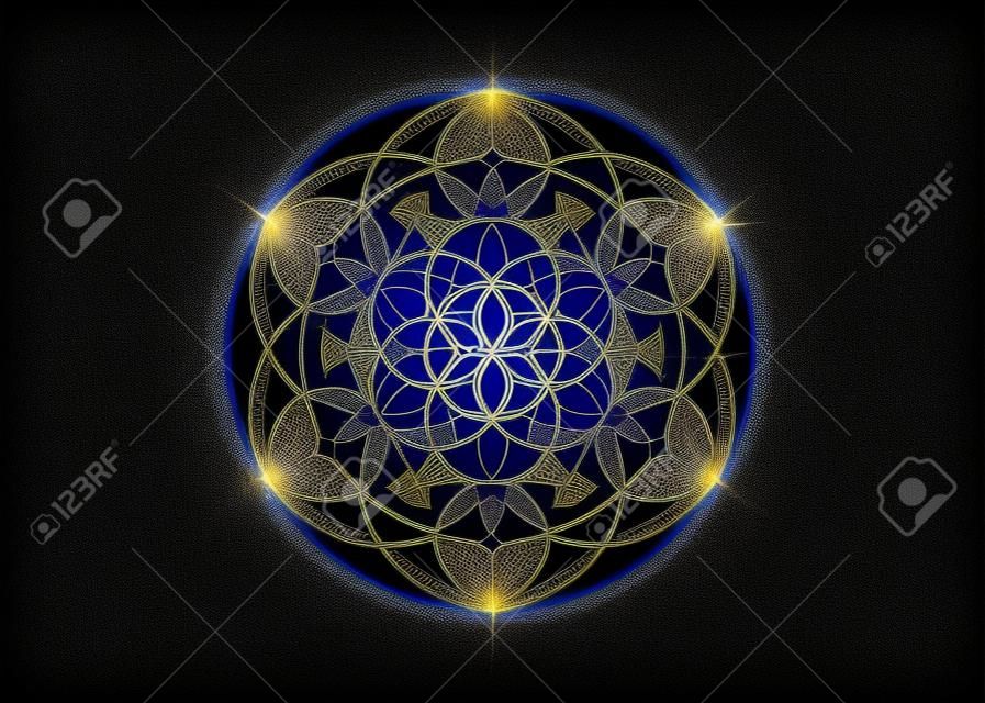 生命の種のシンボル神聖幾何学。錬金術の難解なフラワーオブライフの幾何学的な神秘的なマンダラ。ゴールドの豪華なデザイン、紺色の背景に分離されたベクトル神の瞑想のお守り