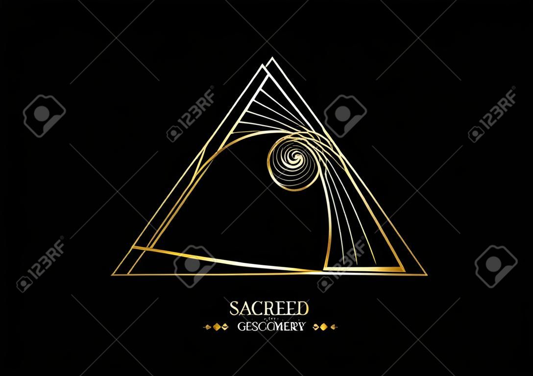 triangles according to fibonacci series and golden ratio. Sequence golden section, divine proportion and shiny gold geometric spiral. Sacred Geometry logo vector isolated on black background