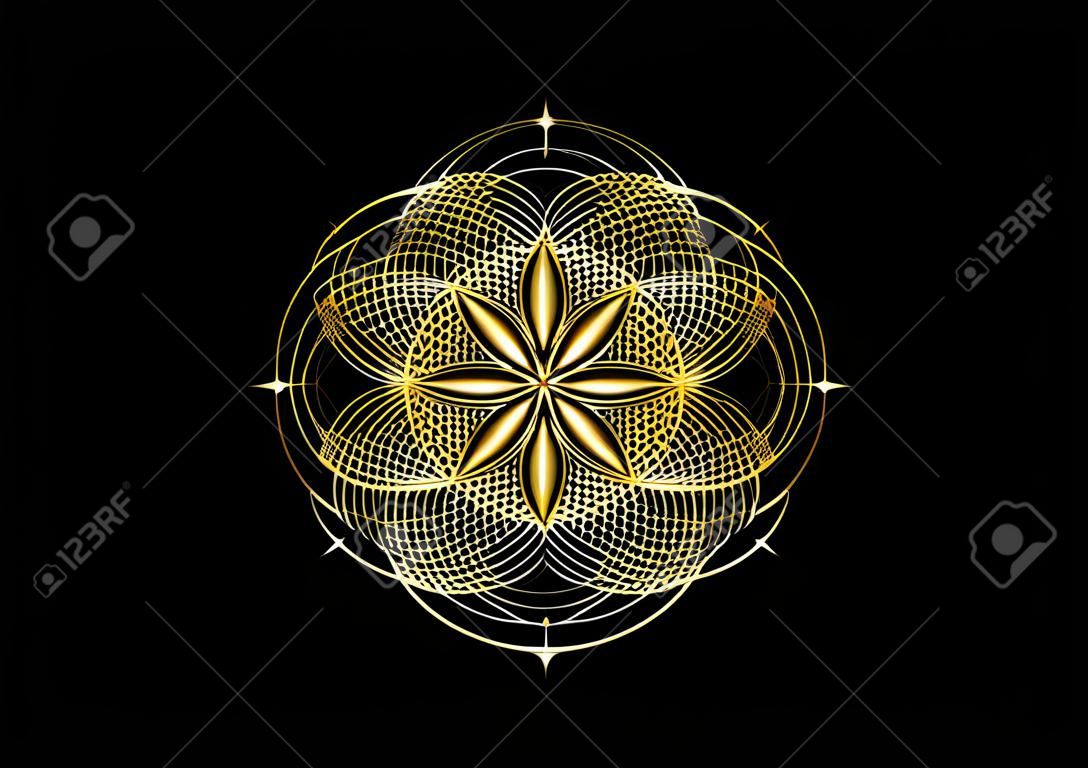 Ziarno życia symbol świętej geometrii. złota ikona logo geometryczna mistyczna mandala alchemii ezoteryczny kwiat życia. przeplatane czarne kółka, wektor boski amulet medytacyjny izolowany na czarnym tle