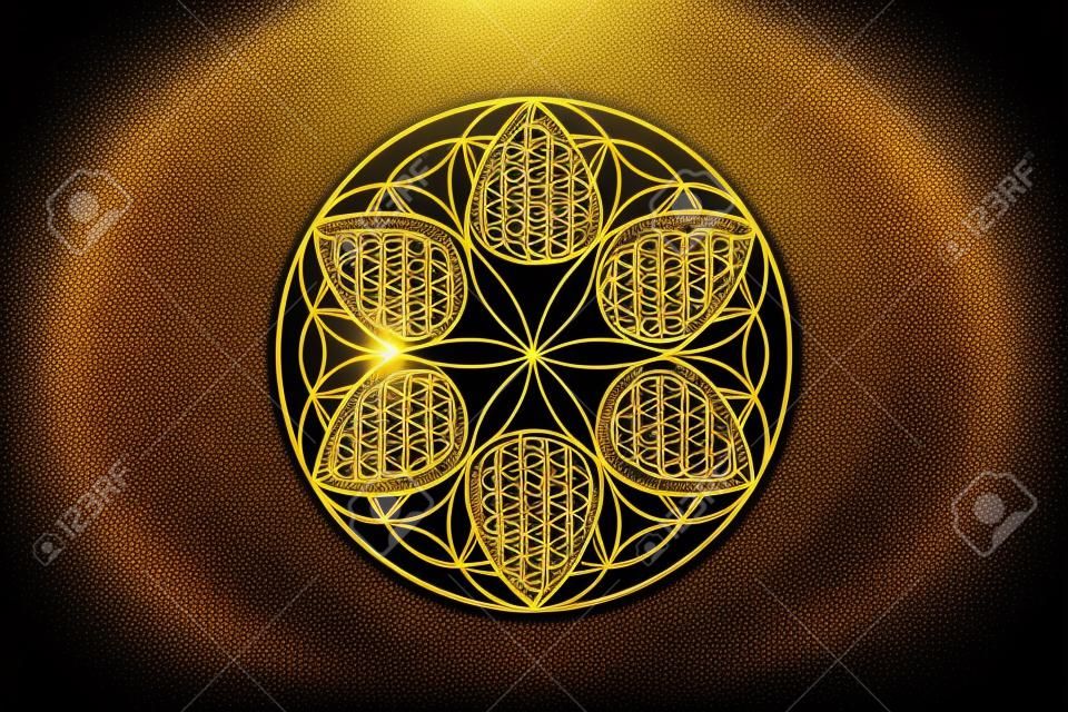 flower of life, gold spiritual mandala, Sacred Geometry. Bright golden symbol of harmony and balance. Mystical talisman, luxury round vector isolated on black background