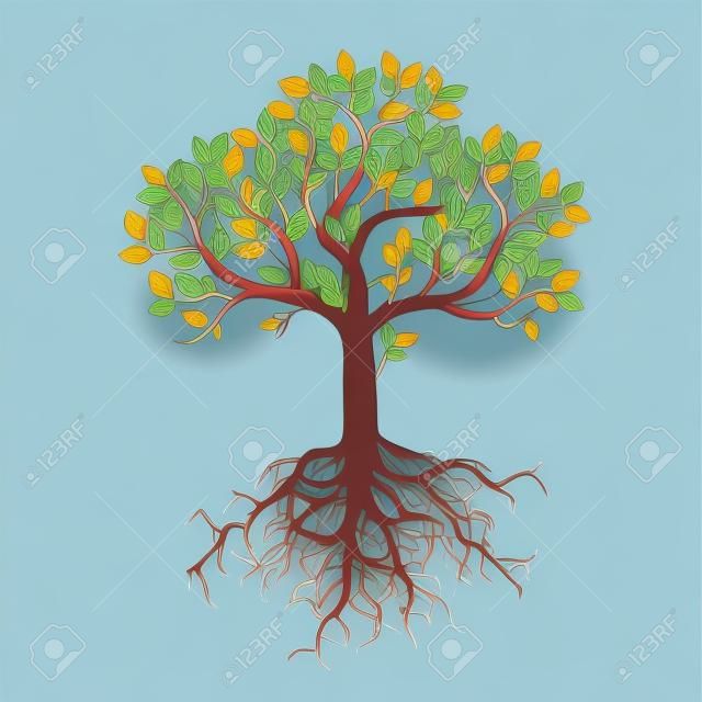 Ağaç ve Kökler Renk Şekli. Vektör Çizim.