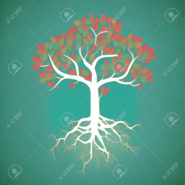 Kolor Kształt drzewa i korzenie. Ilustracja wektora.