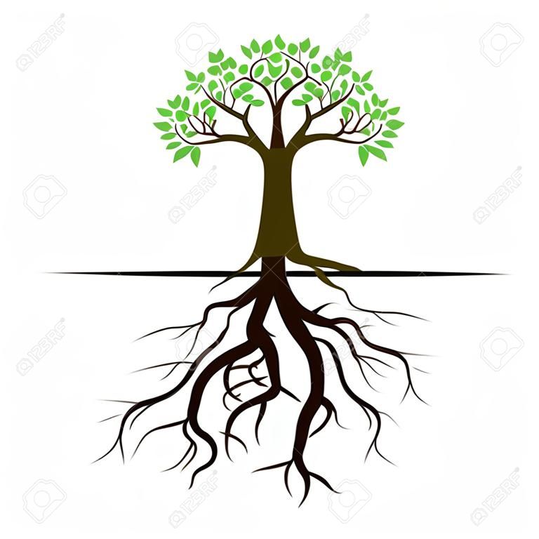 木と根。ベクトルの図。