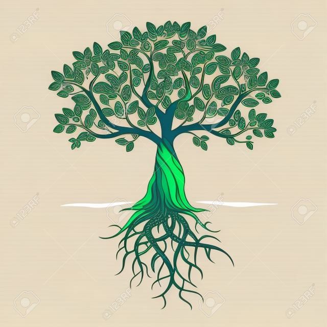 Color Tree Roots and background. Vector Illustration.