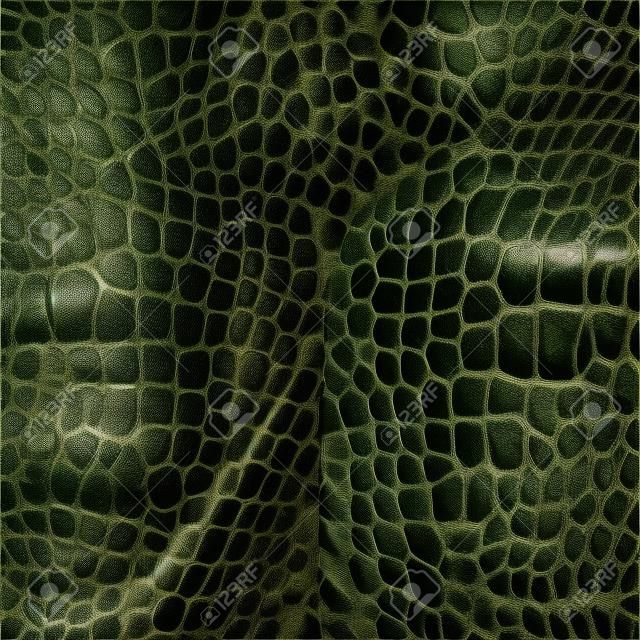 Cuir textures de serpent animal reptile crocodile motif de fond
