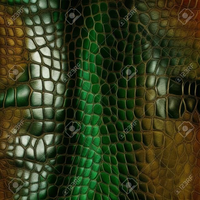 Leather texture animale serpente rettile coccodrillo pattern di sfondo